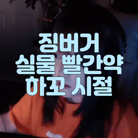 xvideo 디시